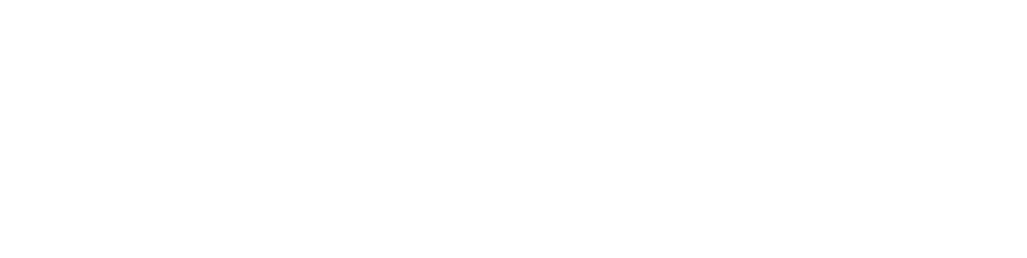 Is sprake van betrokkenheid bij een incident dat een ernstige bedreiging vormt voor de integere uitoefening van het b   